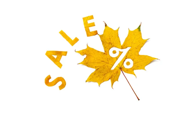 Autumn discounts. Letters are cut from wedge leaves