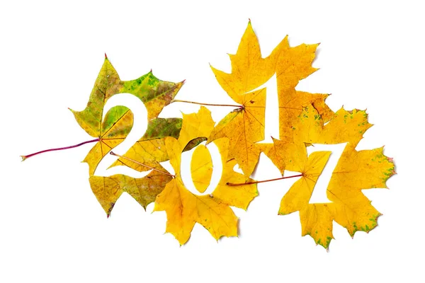 2017. chiffres sculptés à partir de feuilles d'érable jaune — Photo