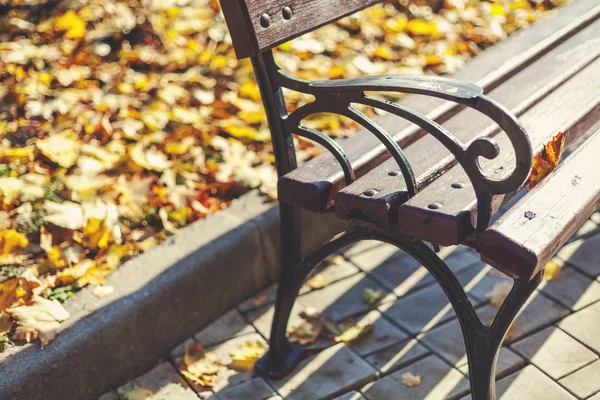 Banco de madera en un parque de otoño de cerca — Foto de Stock