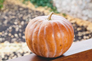büyük turuncu kabak veranda ahşap korkuluk üzerinde yatıyor