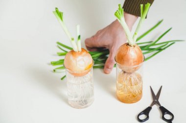 şeffaf gözlük ve beyaz arka plan için makaslar ampuller