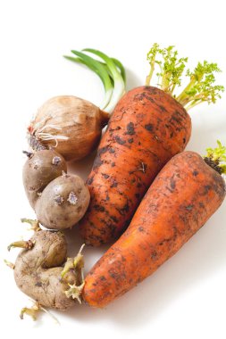 Beyaz arka plan üzerinde filizlenmiş sebze