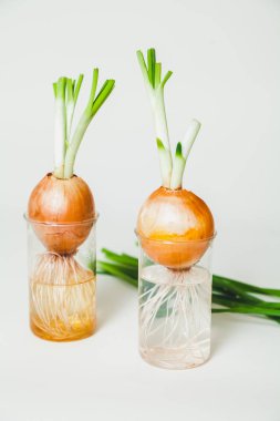 İki ampul beyaz zemin üzerine şeffaf gözlük