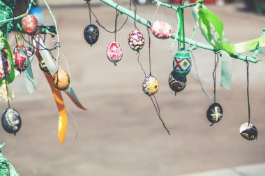 Grup boyalı Paskalya yumurtaları ağaç dalı