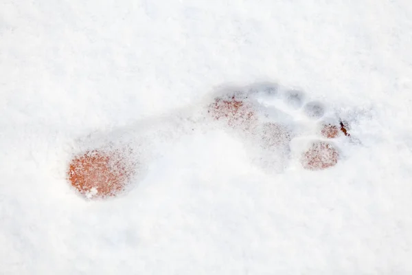 single imprint of a bare left foot on fresh white sno