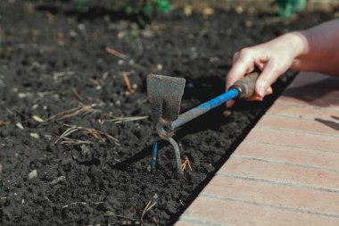 El çapa kolları zemin taranmış