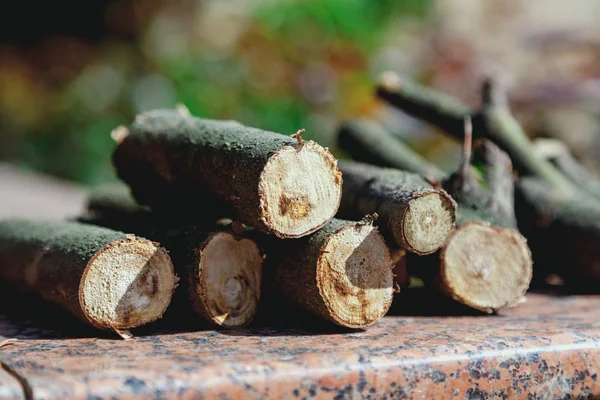 Round logs of logs are laid on granite — Stock Photo, Image