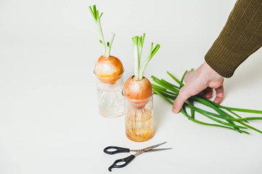 şeffaf gözlük ve beyaz arka plan için makaslar ampuller