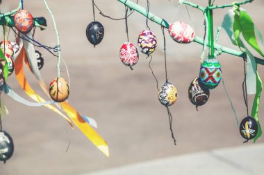 Grup boyalı Paskalya yumurtaları ağaç dalı