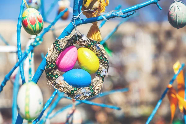 Group painted Easter eggs on tree branch — Stock Photo, Image