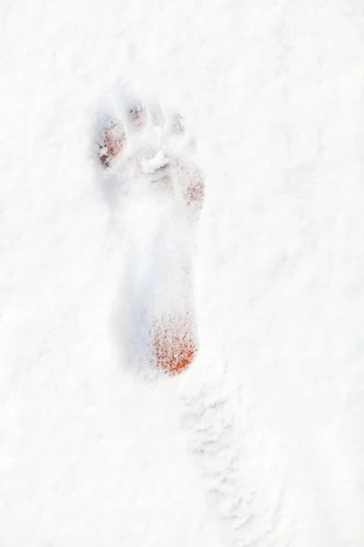 single print of the bare foot on the fresh white sno