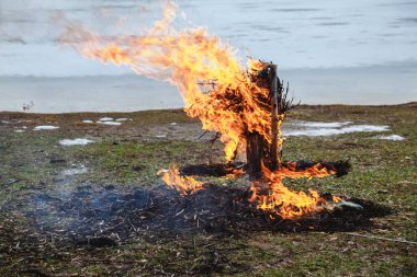 Nehri'nin hasır doldurulmuş karnaval yakar