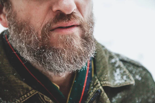 Copo de nieve en la barba masculina — Foto de Stock