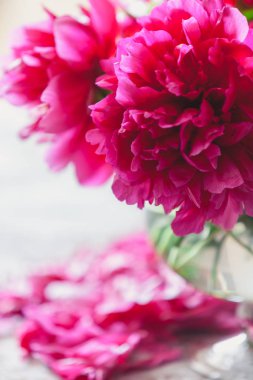 cam vazoda kırmızı peonies masaya standı