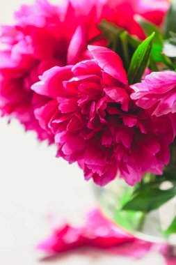 cam vazoda kırmızı peonies masaya standı