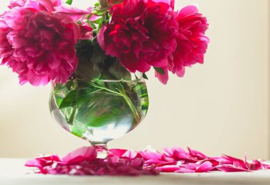 Vazoda beyaz zemin üzerine kırmızı peonies buket