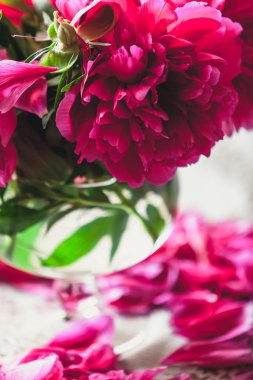 cam vazoda kırmızı peonies masaya standı