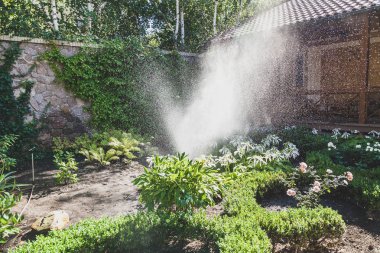 su dağınık akışı yeşil bitkiler bahçede sprinkles.