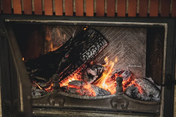 yaşam yangın. Günlükleri güzel şömine yanıyor