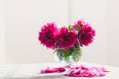 cam vazoda kırmızı peonies masaya standı