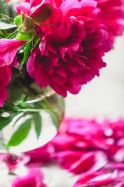 cam vazoda kırmızı peonies masaya standı