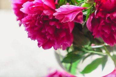 cam vazoda kırmızı peonies masaya standı