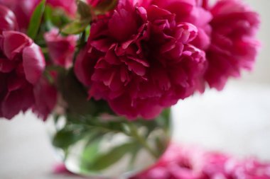 cam vazoda kırmızı peonies masaya standı