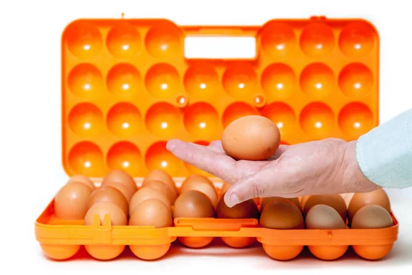 Jajo kurze leży w dłoni z plastikowym pojemniku — Zdjęcie stockowe