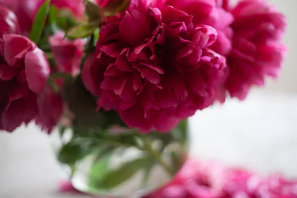 Red peonies in glass vase stand on table — Stock Photo, Image