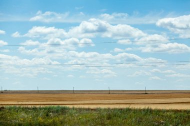 Bulutlu gökyüzü çerçevede buğday alanı