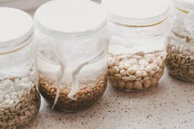 Farklı tahıllar ile Cam Kavanoz