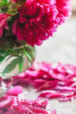 cam vazoda kırmızı peonies masaya standı