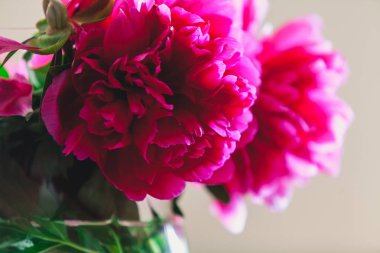 cam vazoda kırmızı peonies masaya standı