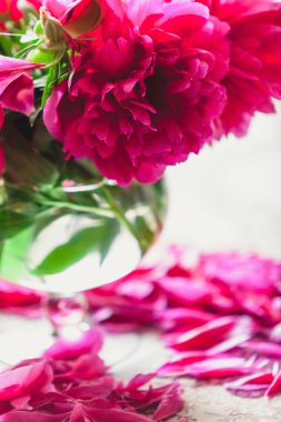 cam vazoda kırmızı peonies masaya standı