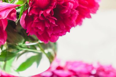 cam vazoda kırmızı peonies masaya standı