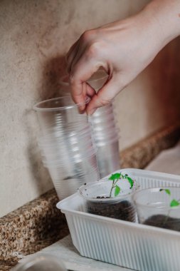 El plastik fide konteyner alır