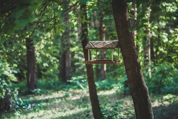 Trä fågelbordet på träd — Stockfoto