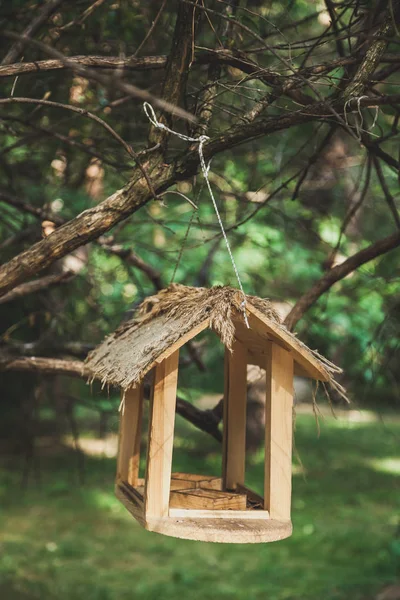 树枝上的木制鸟饲养器 — 图库照片