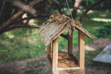 Ahşap kuş besleyici dalı
