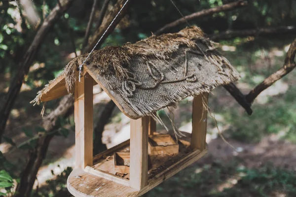 树枝上的木制鸟饲养器 — 图库照片