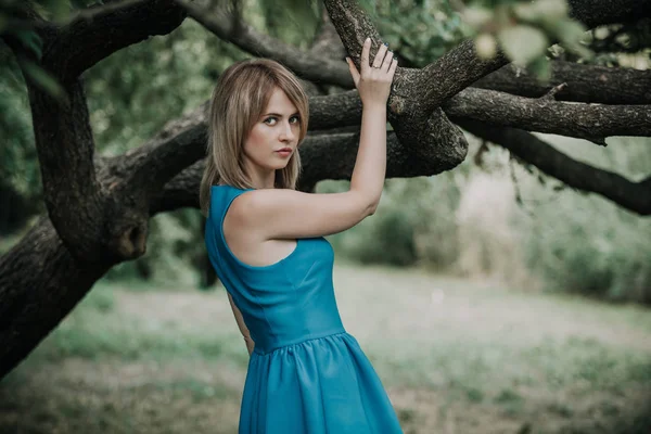 Belle fille en robe bleue est debout dans l'arbre avant — Photo