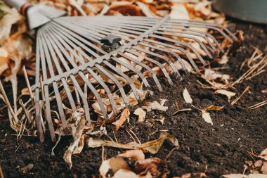 Sonbahar yerde yatan çelik fan komisyon. Düşen yapraklar