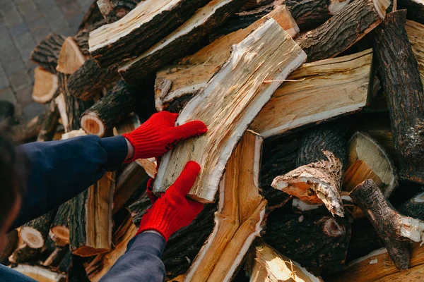 Ruce v rukavicích drží dřevěný kmen — Stock fotografie