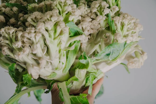 Hands holding cauliflower — Stock Photo, Image