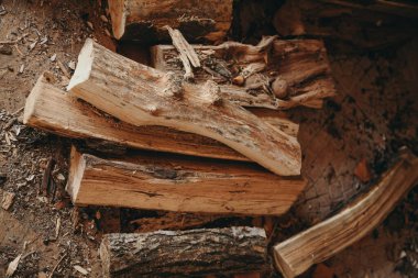 Kütük hisseleri bir demet. Yukarıdan görüntüle