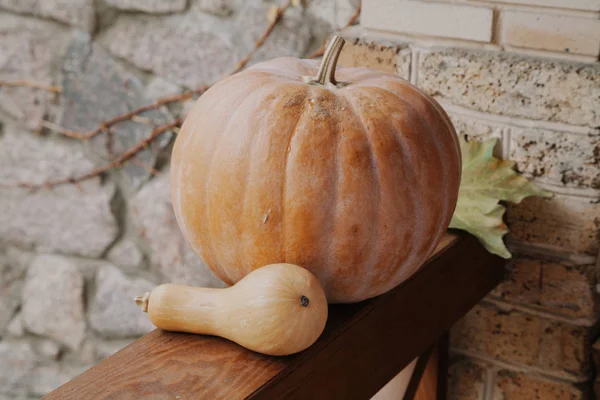 Two pumpkins of different shapes lie on railing of veranda — Stock Photo, Image