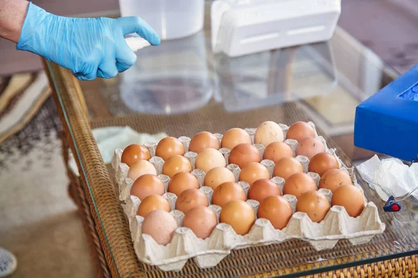 预防感染 一只戴蓝色橡胶手套的手在新鲜鸡蛋上喷洒气溶胶防腐剂 Close — 图库照片