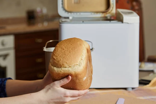 女人的手从电动面包制造商的面包烘焙模里拿着新鲜的面包 附近有一把大刀 — 图库照片