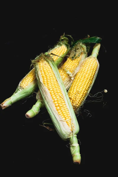 成熟的黄玉米 倒伏在黑色的背景上 — 图库照片