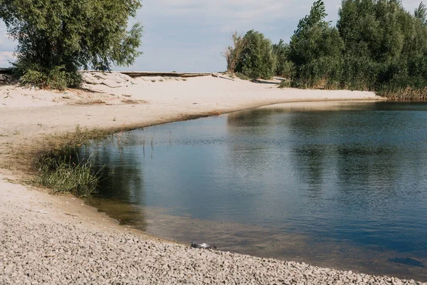 夏天的晴天 第聂伯河上的野生海滩 东欧荒废的性质 — 图库照片